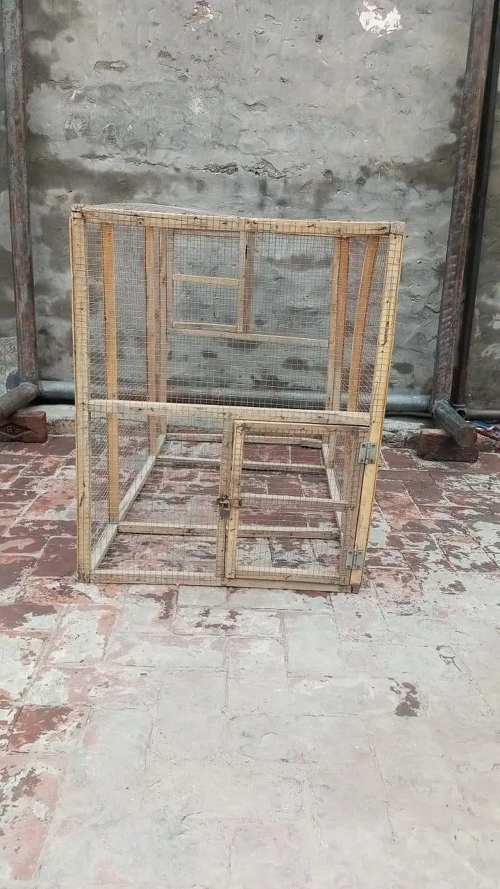 Aseel, Hen, Parrot All Type Of Birds Cage — photo 2