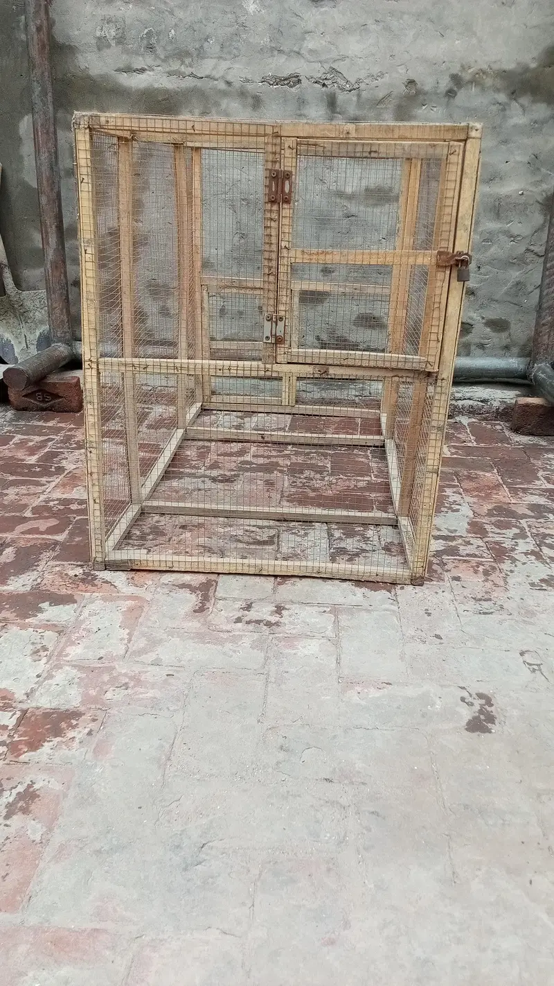 Aseel, Hen, Parrot All Type Of Birds Cage — photo 3