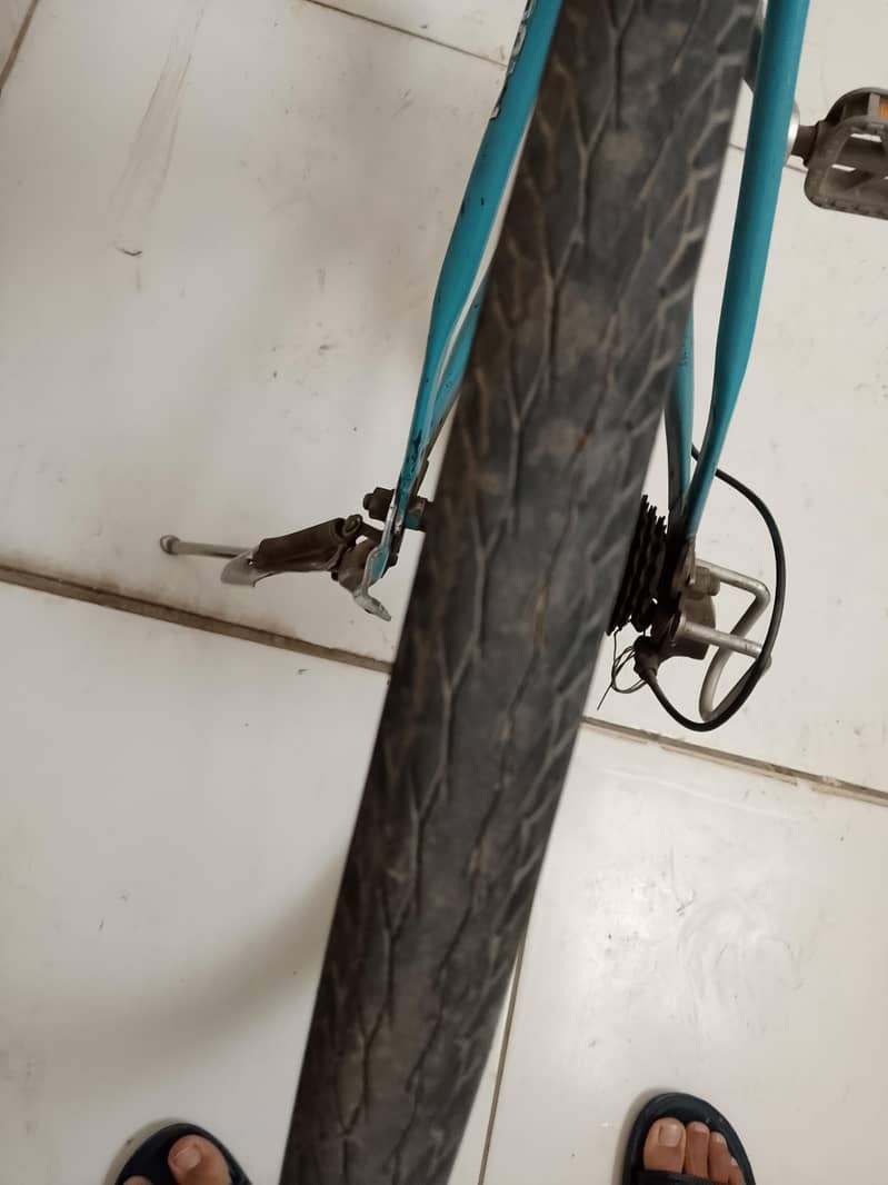 bicycle 7