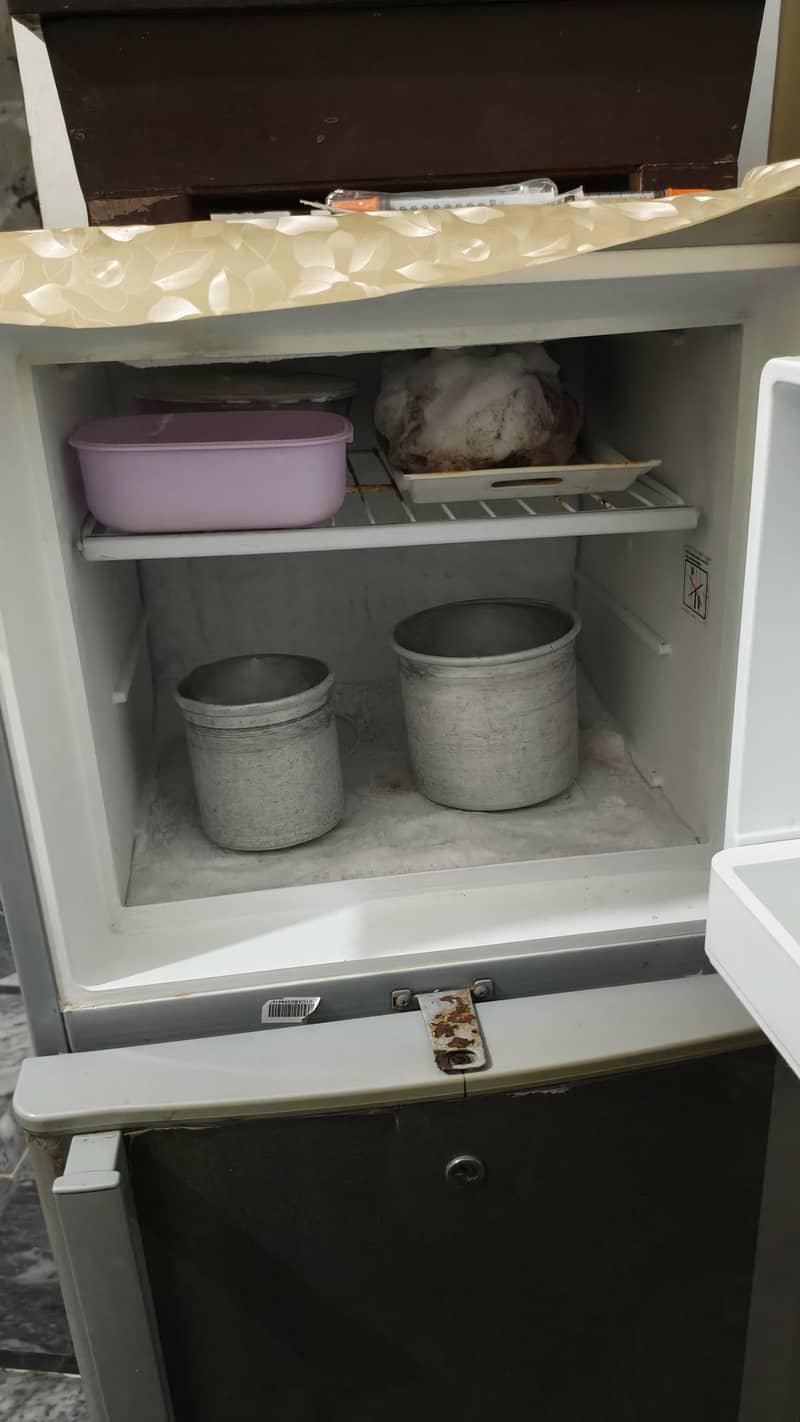 freezer dollars 1