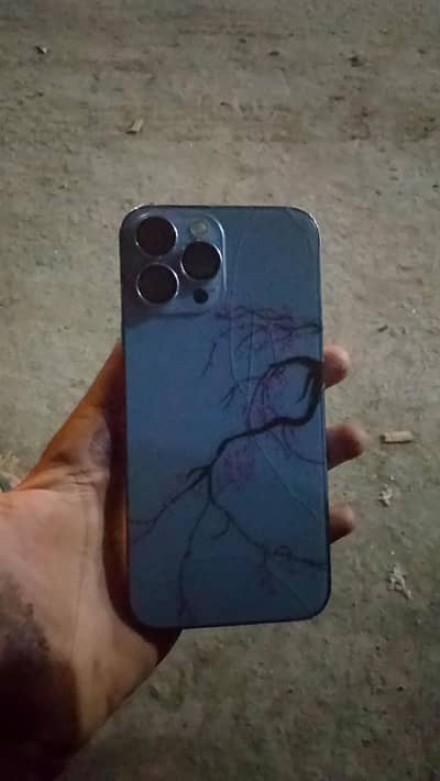 Apple iPhone 13 Pro Max