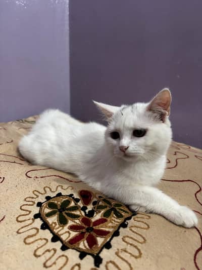 name snowy