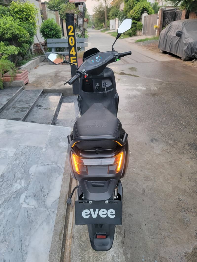 Eevee S1 4