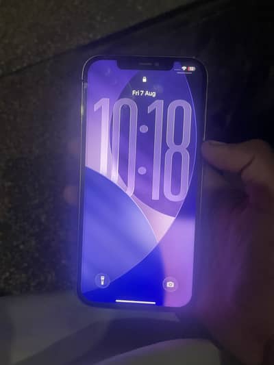 Apple iPhone 12 Pro Max