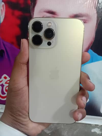 Apple iPhone 13 Pro Max