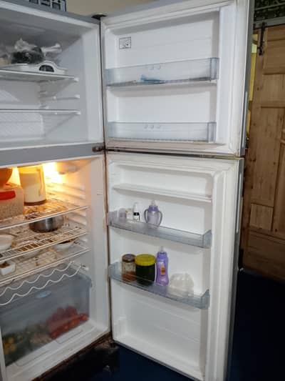 Hair Full Size Refrigerator
