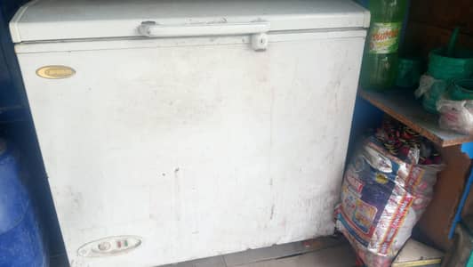 Single Door Freezer