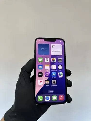 Apple iPhone 13 0