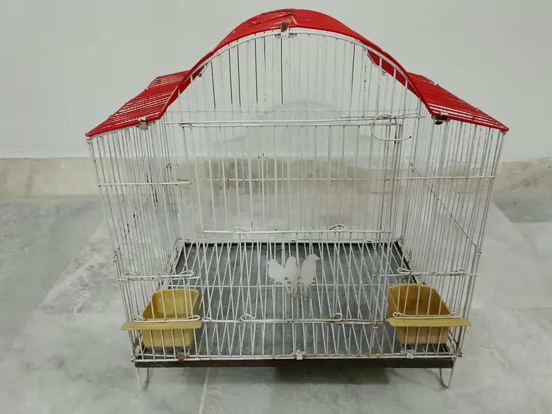 ALMOST NEW CONDITION BIRDS CAGE AVAILABLE FOR SALE — photo 2