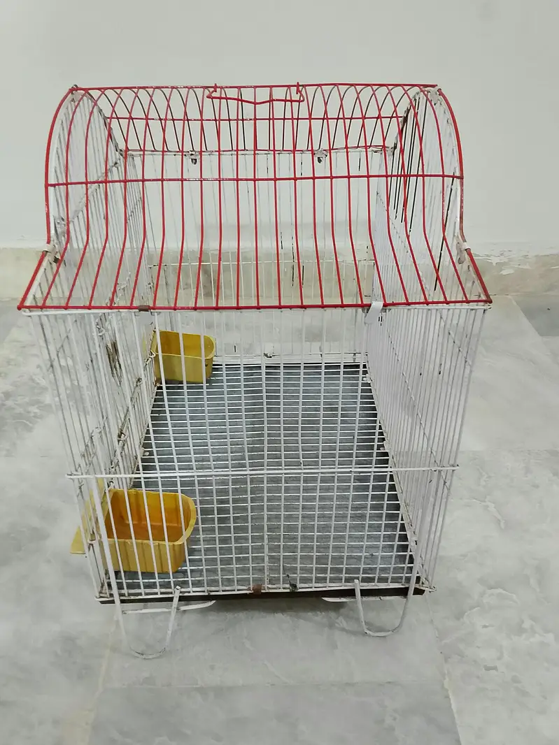 ALMOST NEW CONDITION BIRDS CAGE AVAILABLE FOR SALE — photo 3