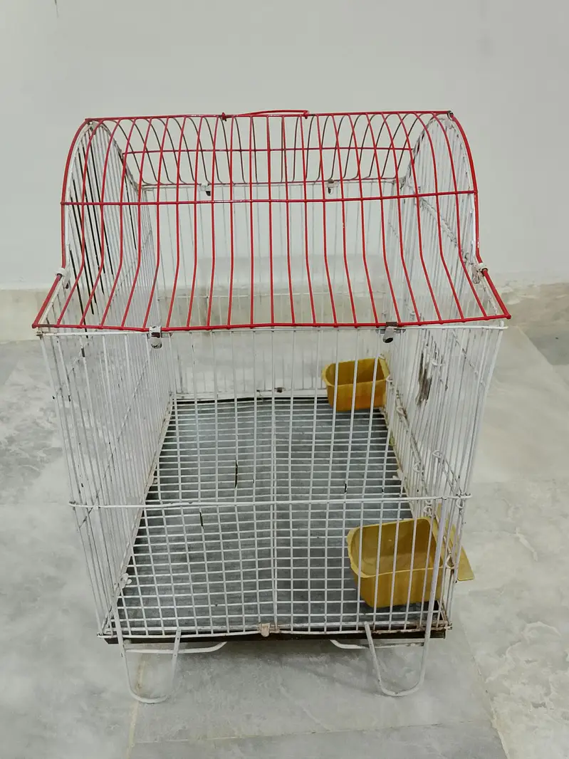 ALMOST NEW CONDITION BIRDS CAGE AVAILABLE FOR SALE — photo 4