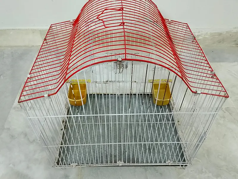 ALMOST NEW CONDITION BIRDS CAGE AVAILABLE FOR SALE — photo 5