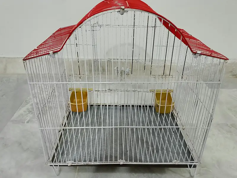 ALMOST NEW CONDITION BIRDS CAGE AVAILABLE FOR SALE — photo 6