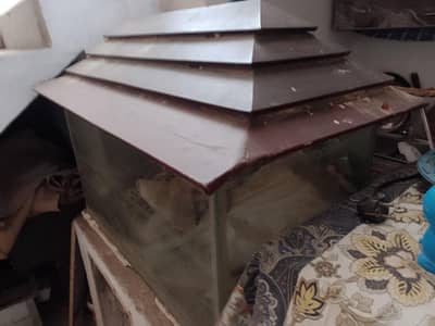 aquarium urgent sale