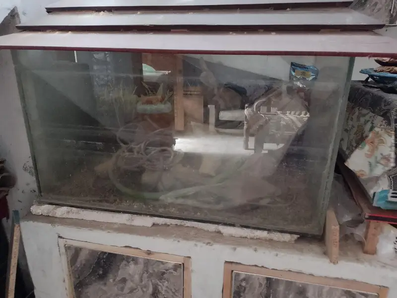 aquarium urgent sale — photo 2