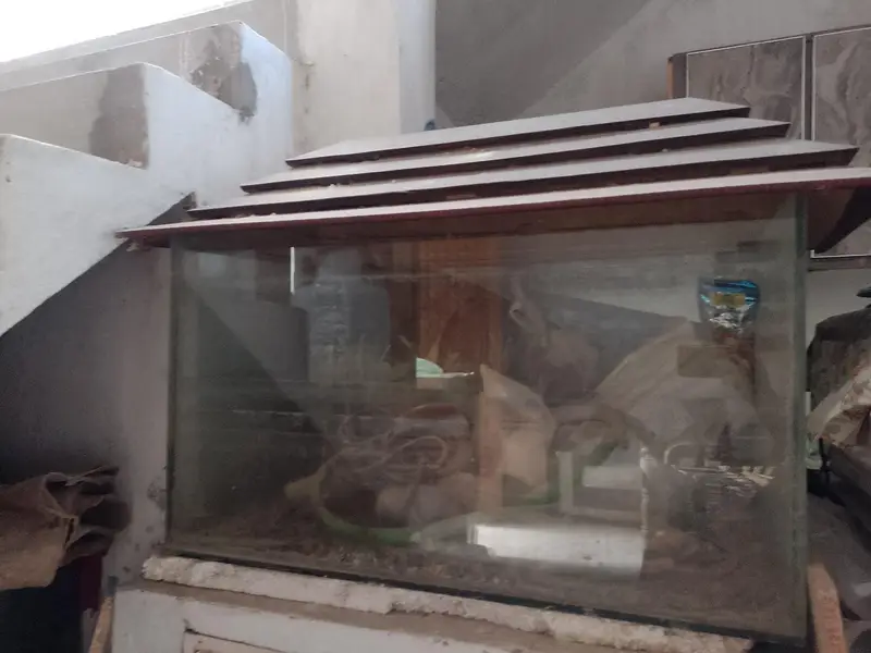 aquarium urgent sale — photo 3