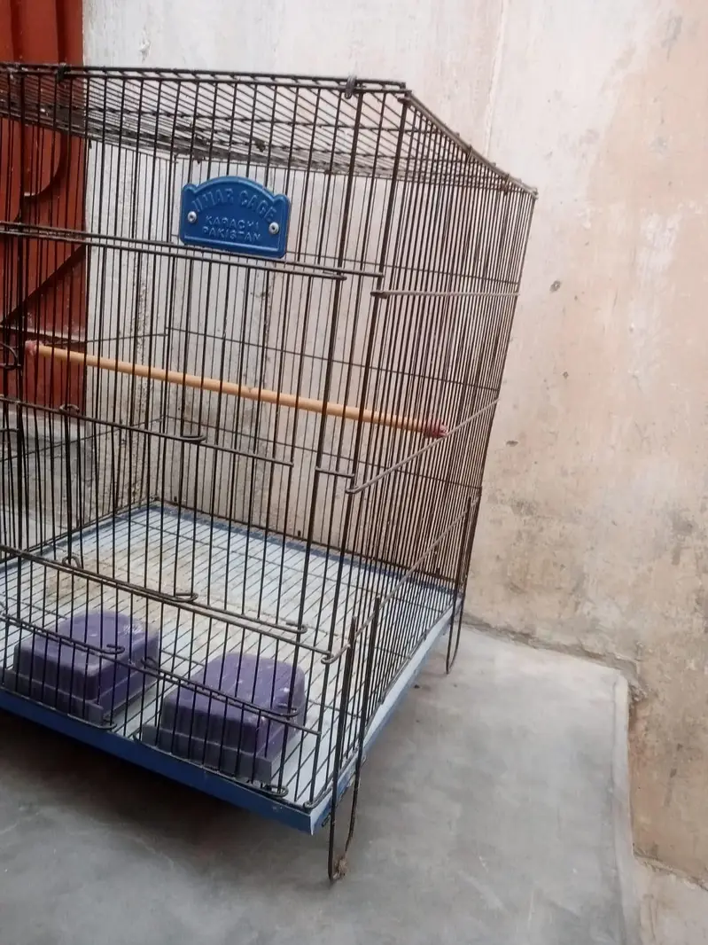 New cage — photo 2