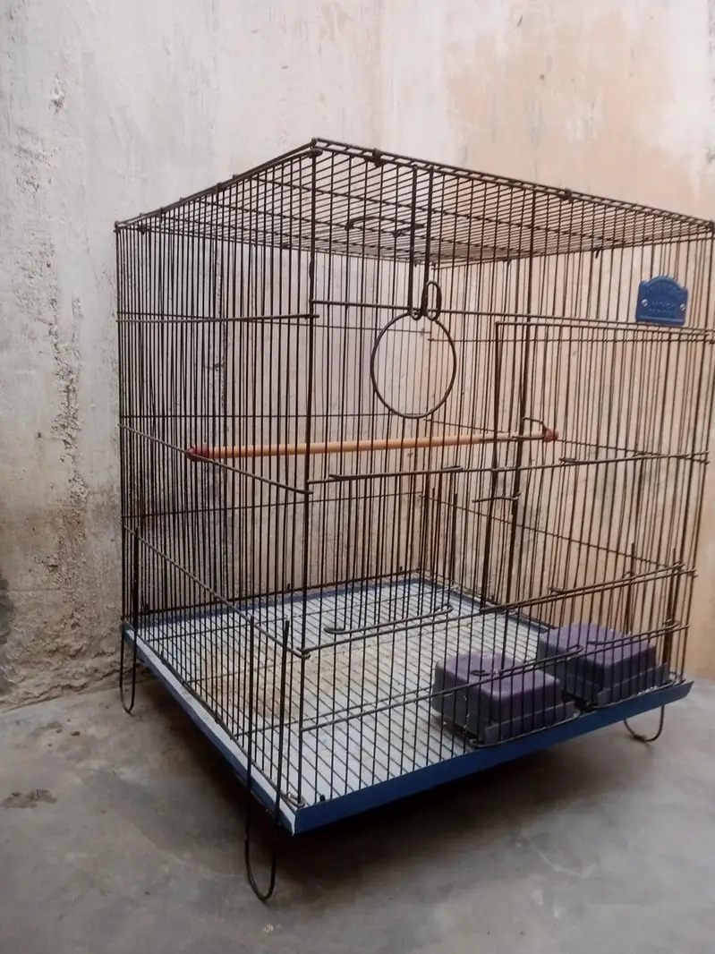 New cage — photo 3