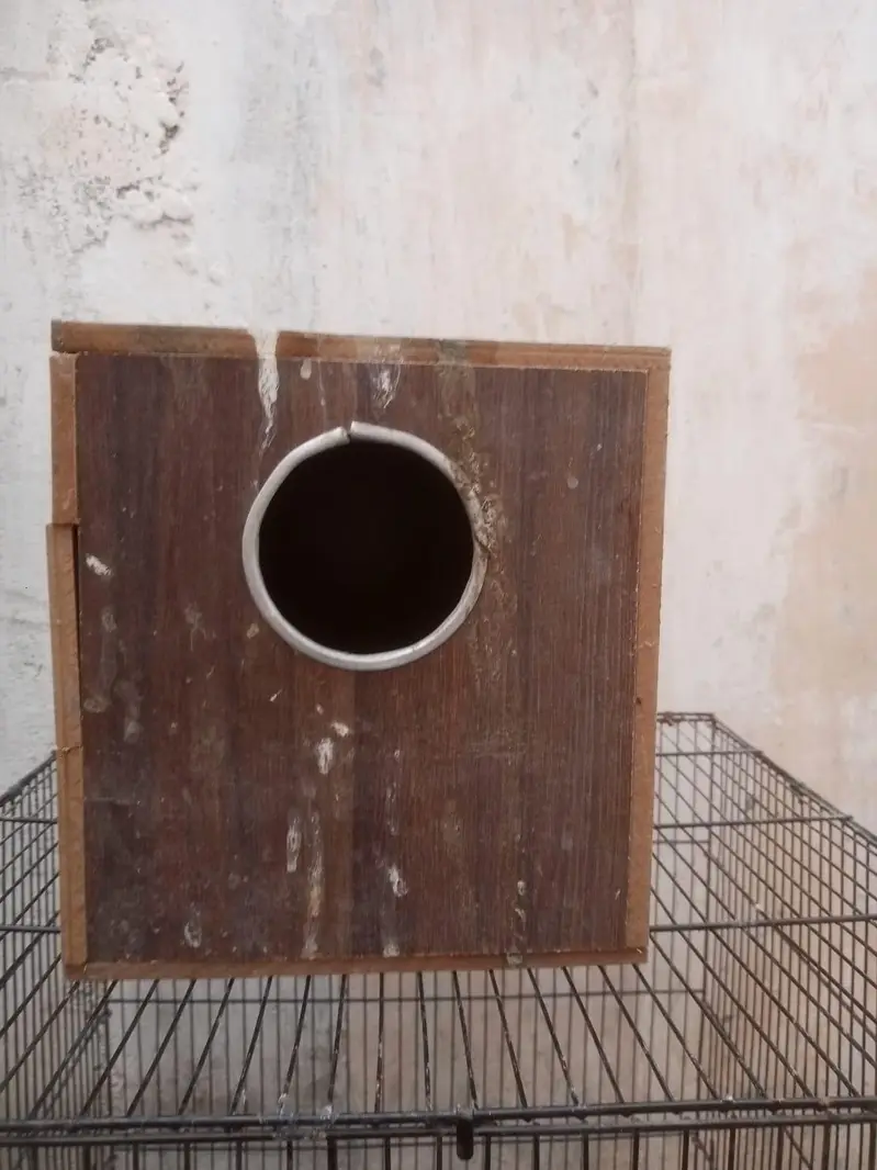 New cage — photo 4