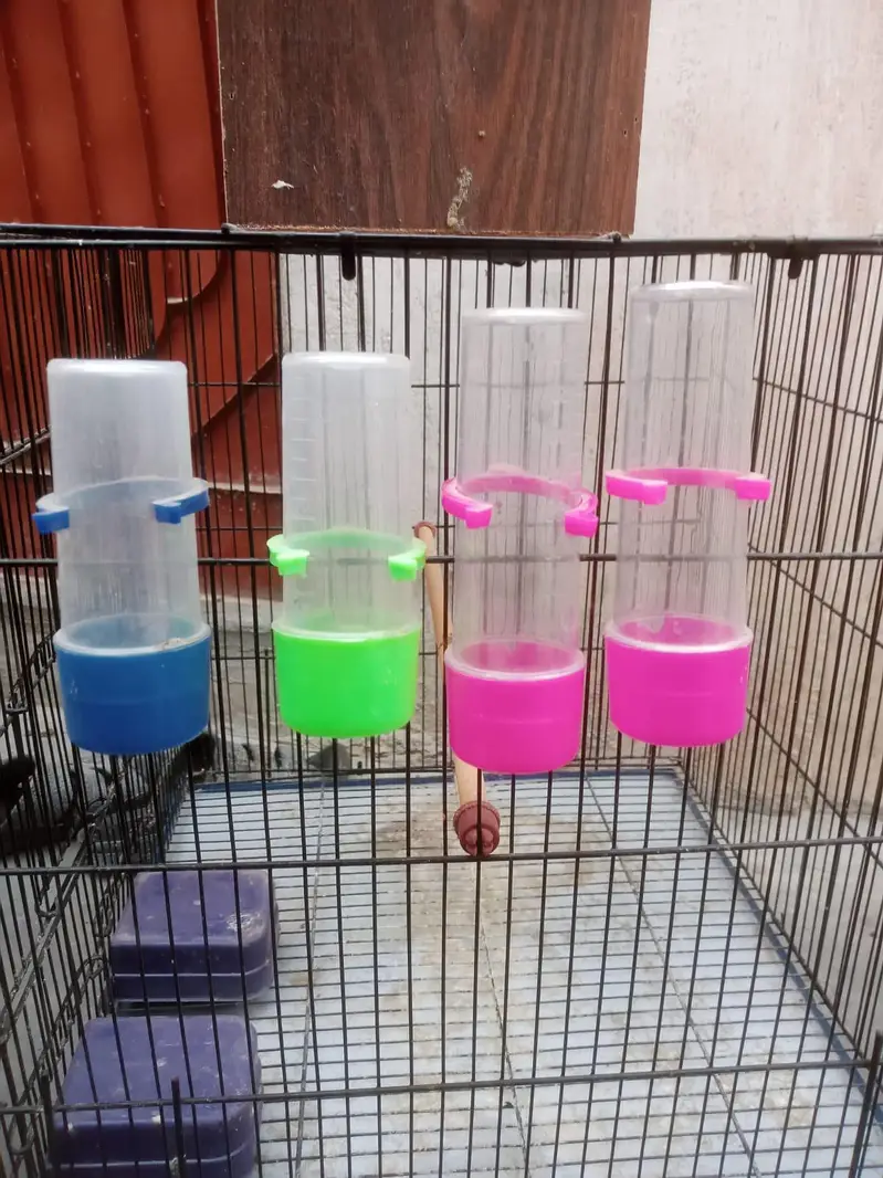 New cage — photo 5