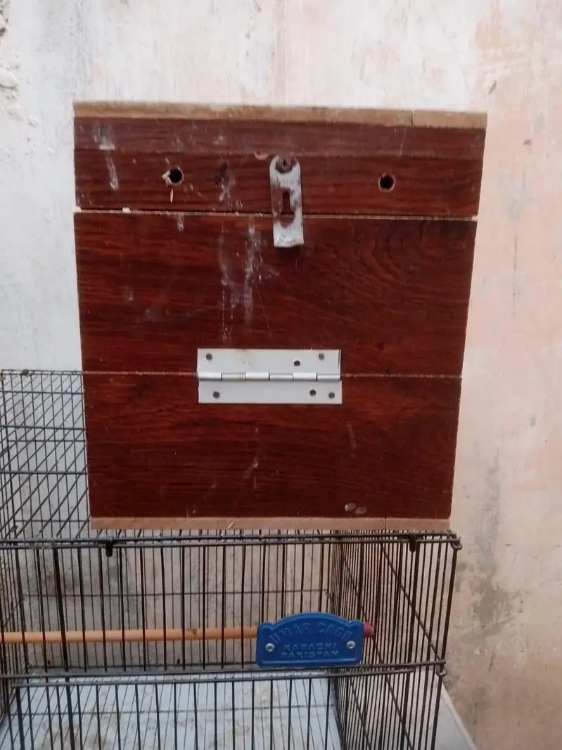 New cage — photo 6