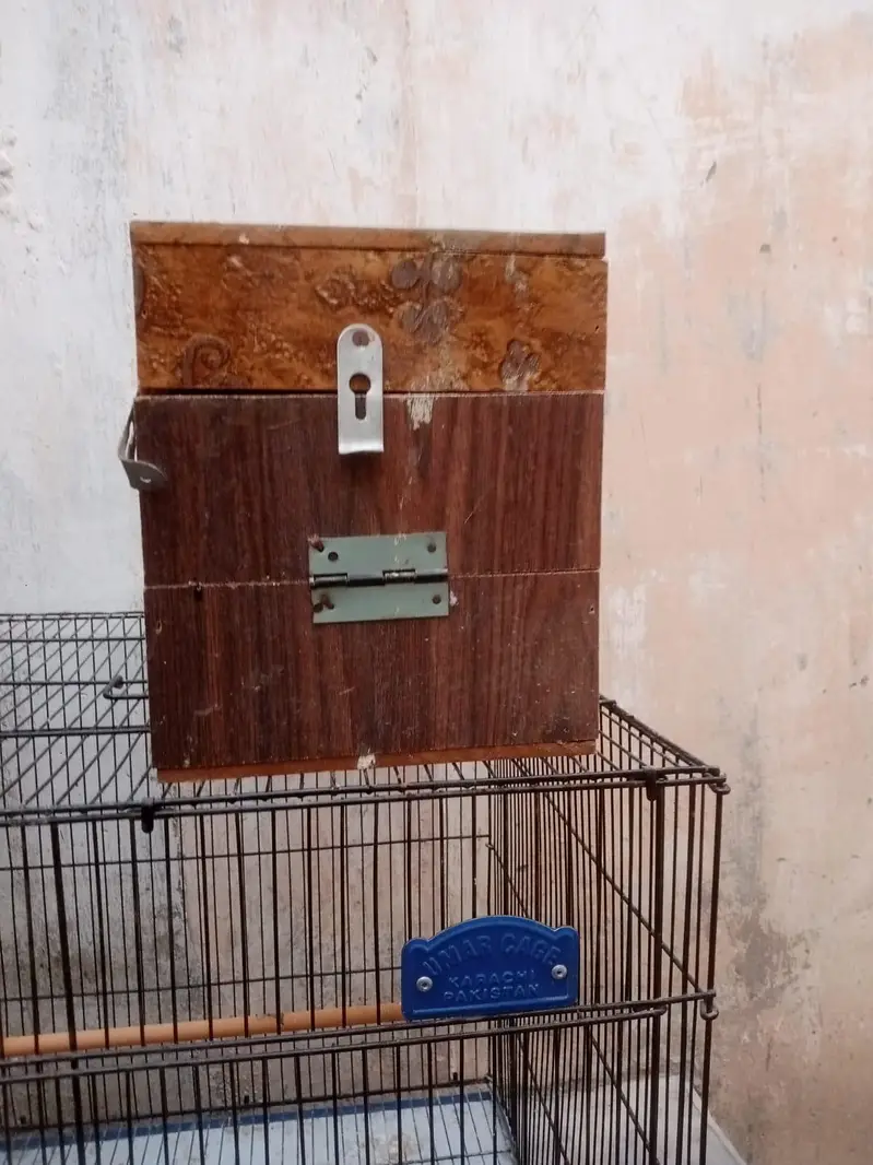 New cage — photo 7
