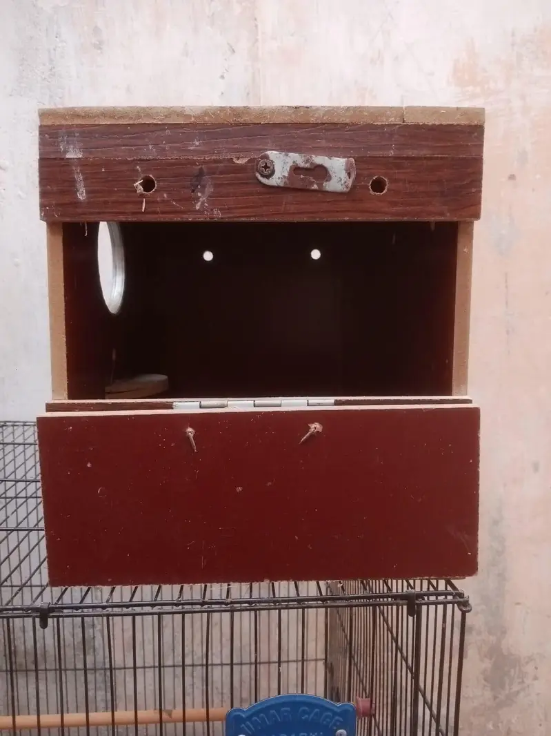 New cage — photo 8