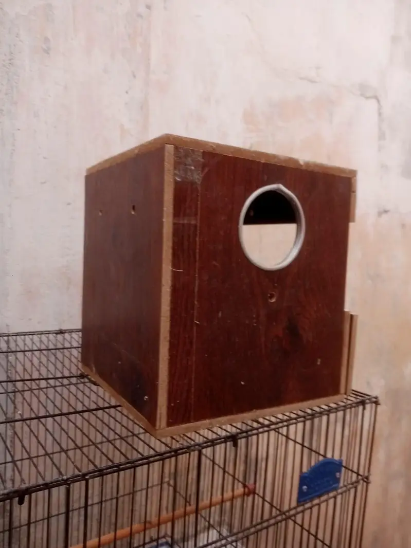 New cage — photo 9