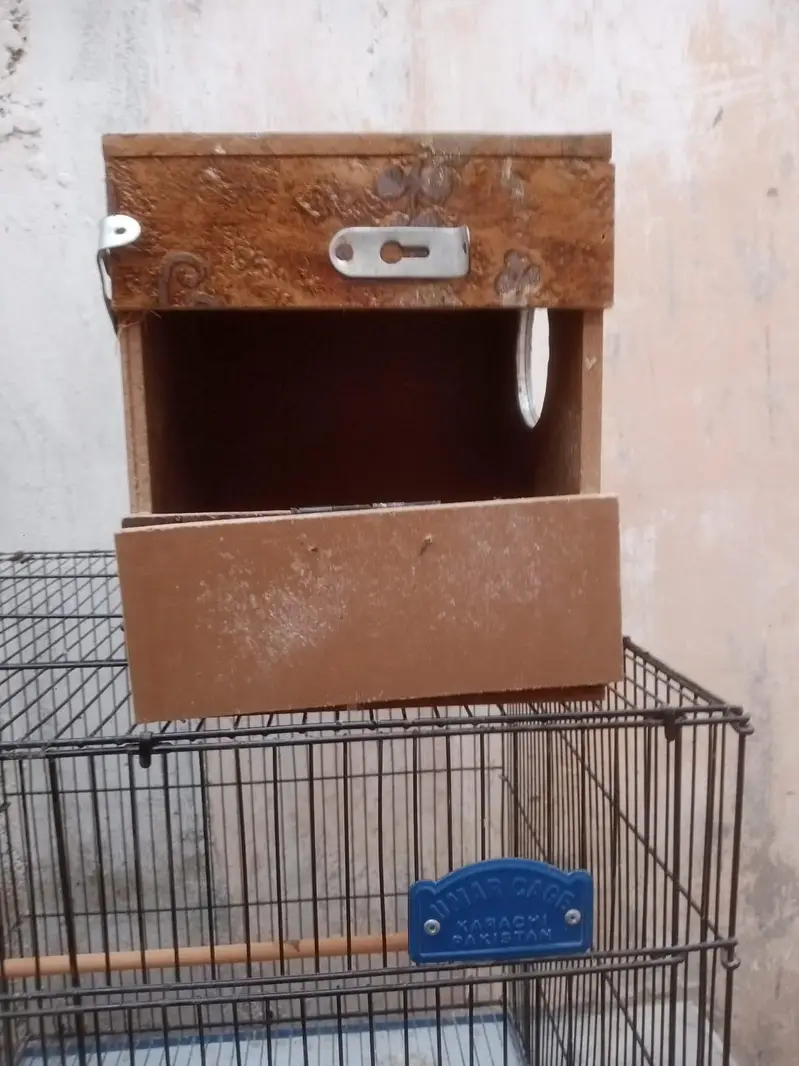 New cage — photo 10