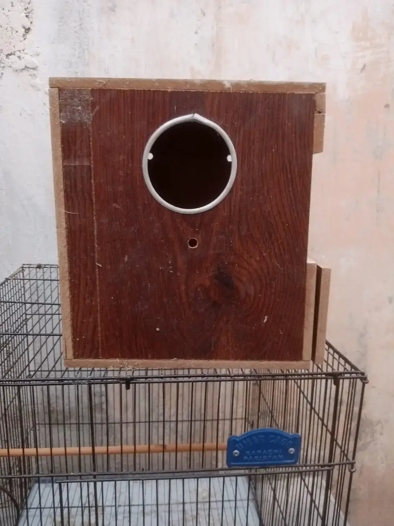 New cage — photo 11
