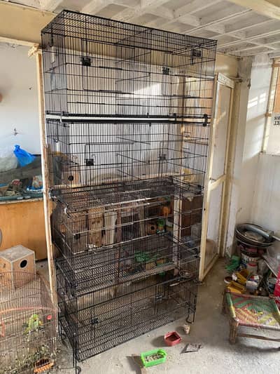 Master cage And Zarar Cage tower