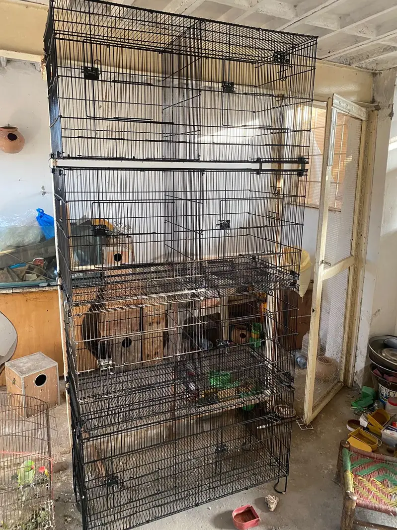 Master cage And Zarar Cage tower — photo 2