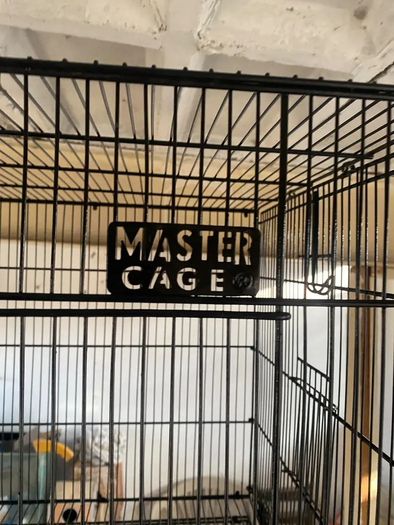 Master cage And Zarar Cage tower — photo 3