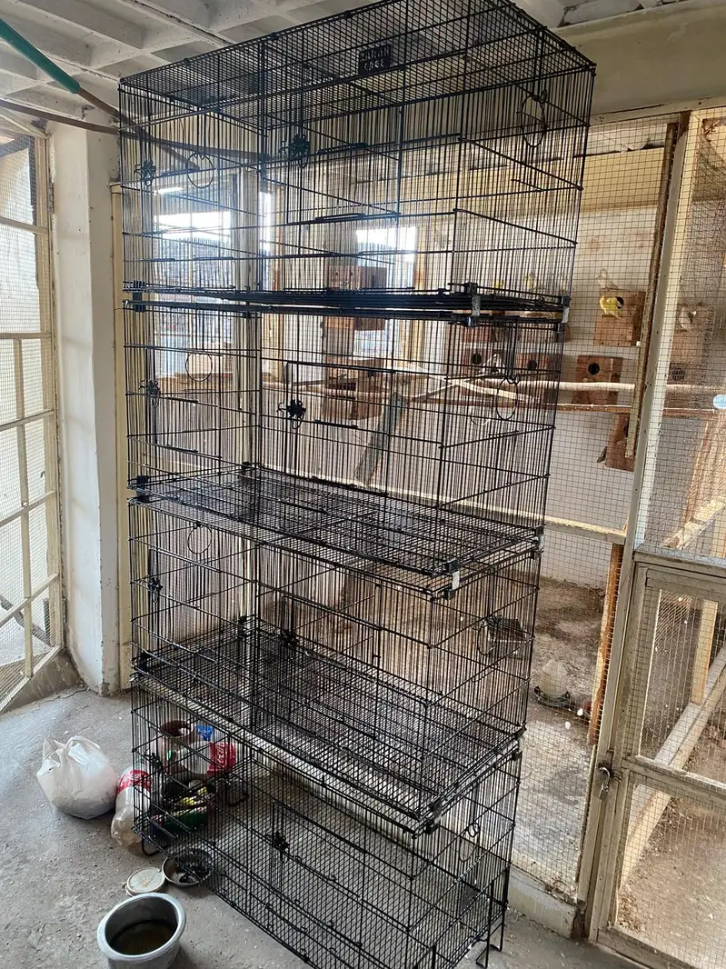 Master cage And Zarar Cage tower — photo 4