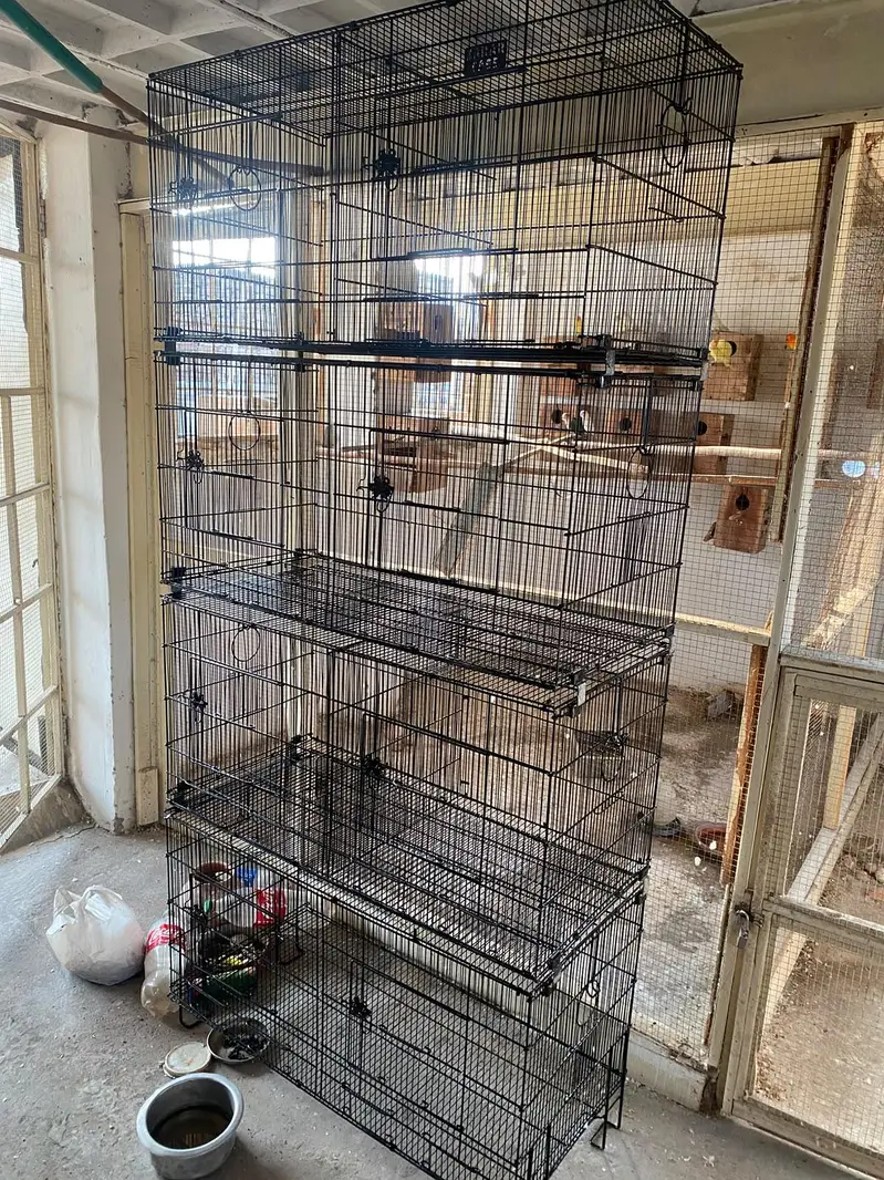 Master cage And Zarar Cage tower — photo 5