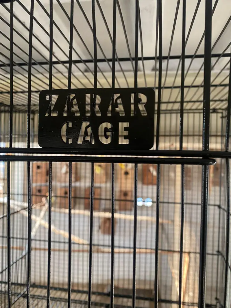 Master cage And Zarar Cage tower — photo 6