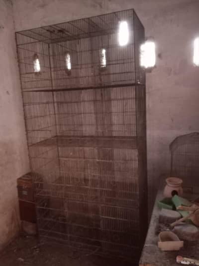 Quality cage