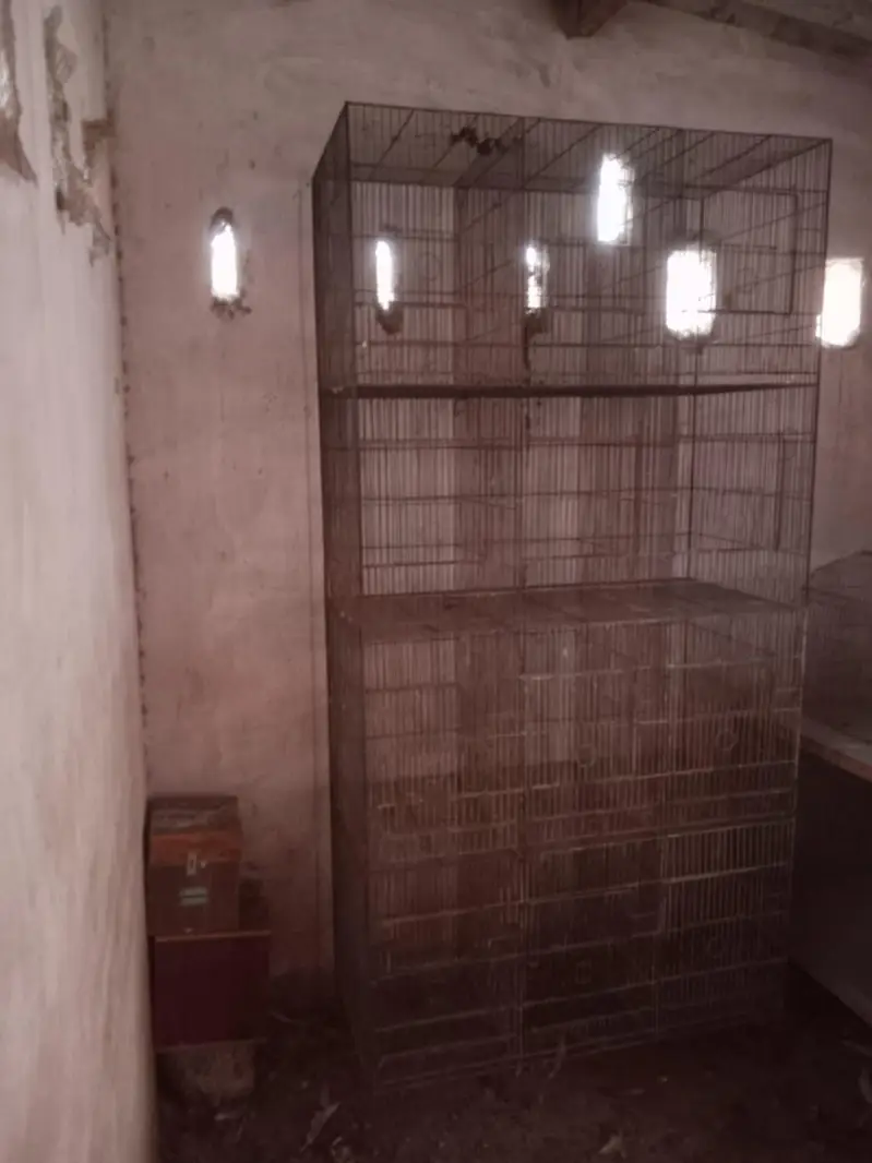 Quality cage — photo 2