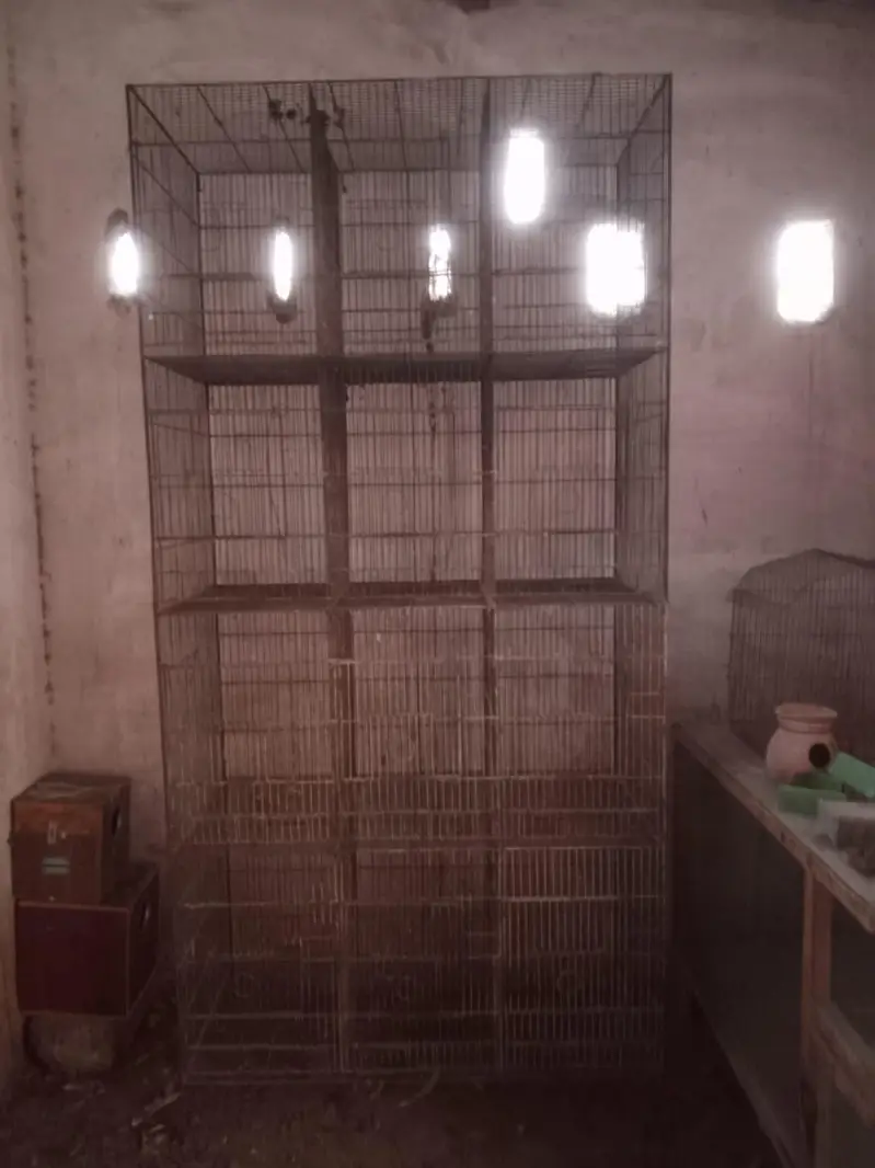 Quality cage — photo 3