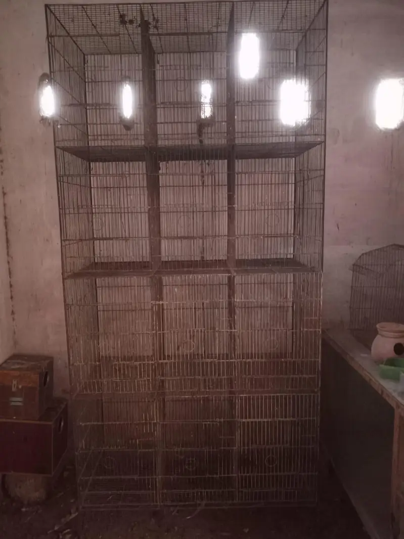 Quality cage — photo 4