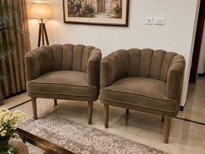 Lounge chairs/ Sofa chairs