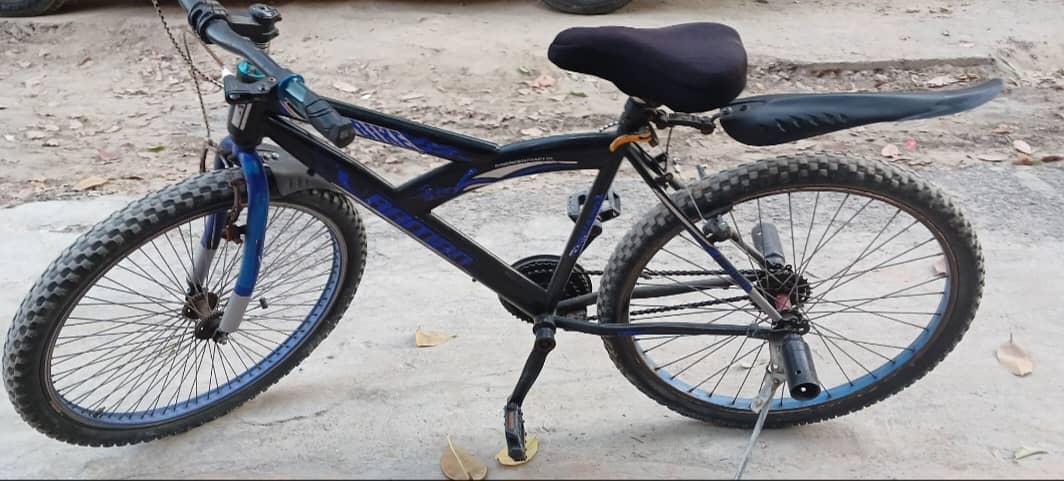Bicycle 1