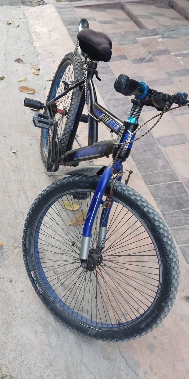 Bicycle 3