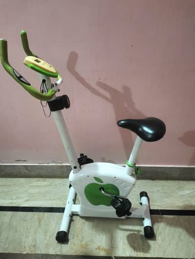 apple magnetic bike. Exercise bike