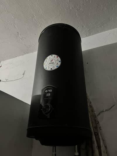 Electric geyser