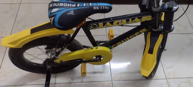 Urgent Sale | Phoenix Kids Bicycle | Excellent Condition