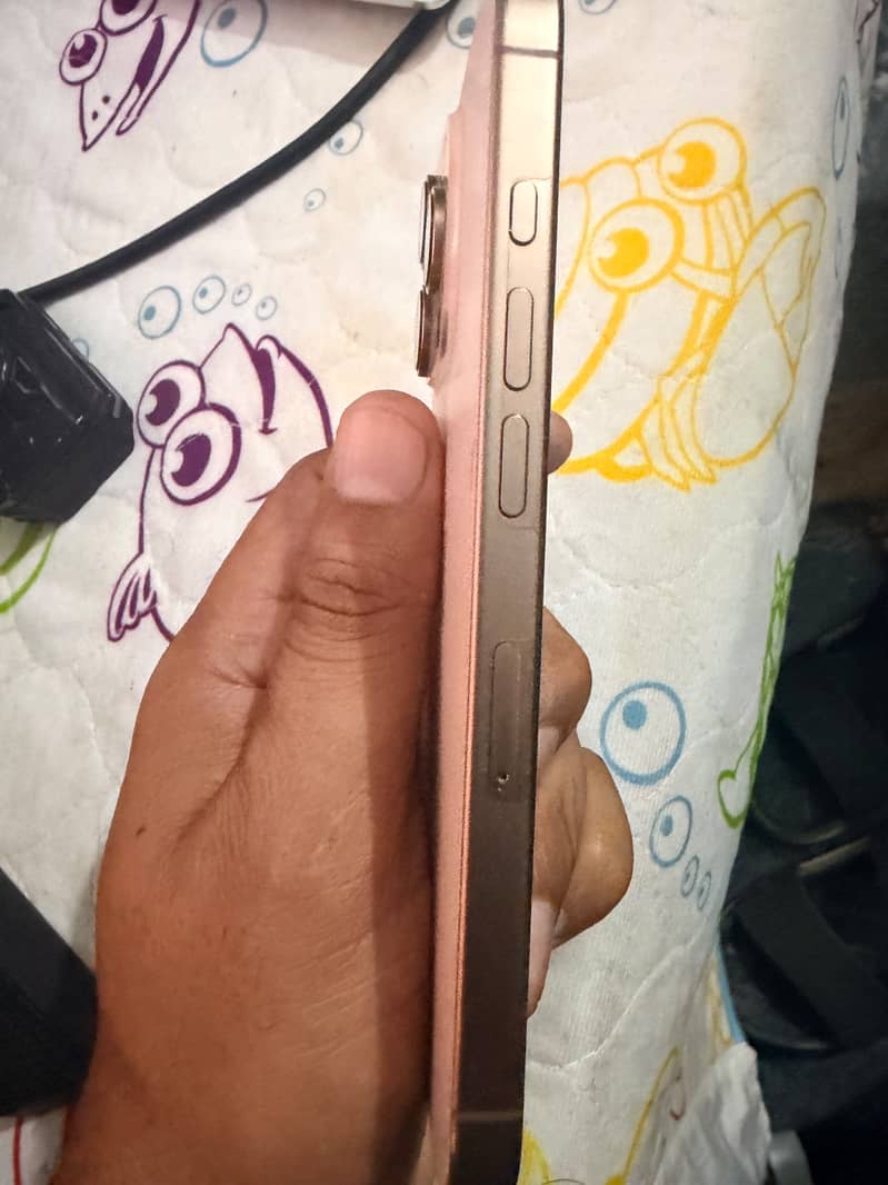 Apple iPhone 16 Pro 1