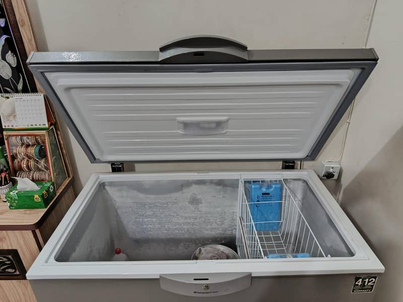 freezer 1