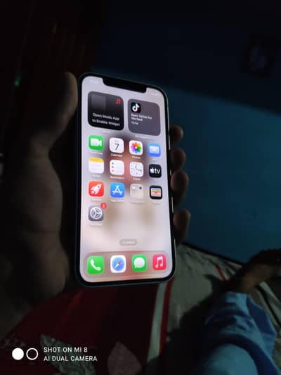 Apple iPhone 12