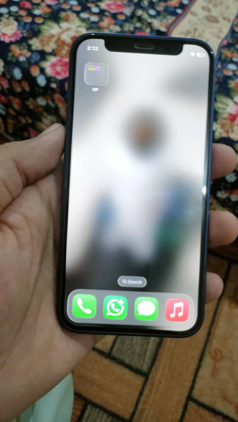 Apple iPhone 12 mini 1